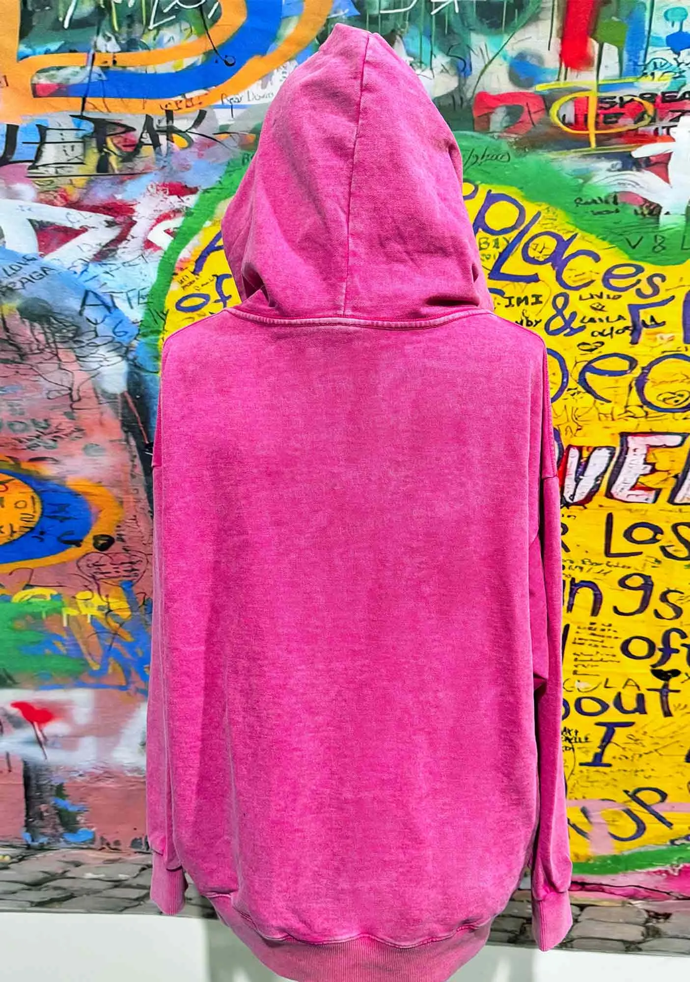 CR Statue Y2K Washed Hoodie Cherrykitten