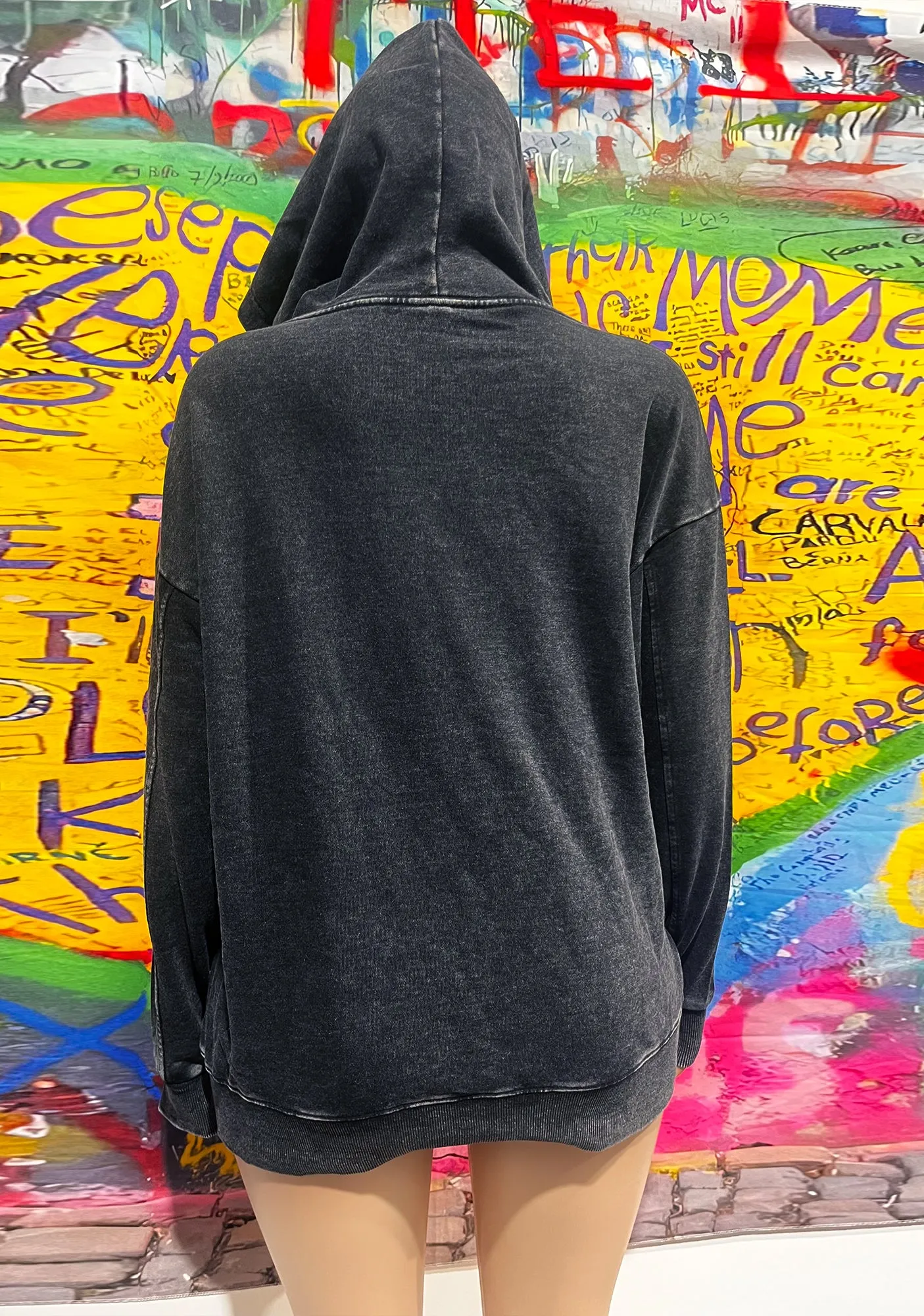CR Statue Y2K Washed Hoodie Cherrykitten